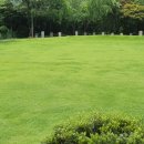 사옹원 분원리 석비군 이미지