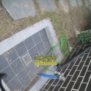 운양세차타운 이미지