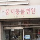 대호동물병원 이미지
