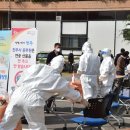 사우로 L 이미지