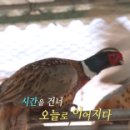 영조농장 네이버블로그