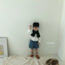 젤라 이미지