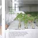 텃밭협동조합 이미지