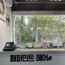 방배역 | (체험단 찐 후기) 방배역 헤어살롱 추천 | 페퍼민트헤어