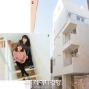 달팽이집 티스토리