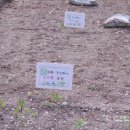 준상농장 이미지