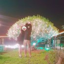 더오딘펜션(K동) 이미지