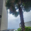 법환동-7 이미지