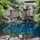 천제연폭포 이미지