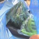 핸섬로스팅 하우스 | 9-1