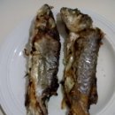 poisson Loup, Dorade grillée 이미지