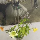 리네아발레스튜디오 이미지