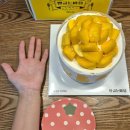 케익마을 | [청주 옥산 빵굽는 마을]망고 폭탄 케이크 솔직 후기 (담백 깔끔 망고케이크)