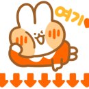 피콜로빠체 이미지