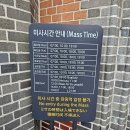 제10회자연감성전 | 난생처음 명동대성당 방문 미사 후기