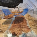 모레골 농장 이미지