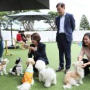 (주)반려동물털로덮인친구들 이미지