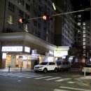 도우라이크피자 홍대점 이미지