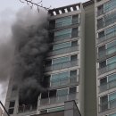 석관동9 이미지