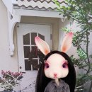 문라이즈 이미지