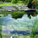 연못이 있는 집 이미지