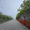 대구미술관 네이버블로그