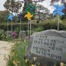 꽃드리 - 파주시 큰여울길 21 | 꽃드리