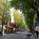 가로수길 이미지