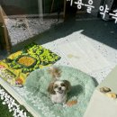 항도미용