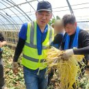 국회대로50길 이미지