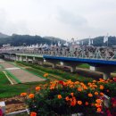 명희네홍어
