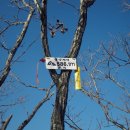 이원면사무소 이미지