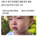 거북이세차나라 | 연말결산
