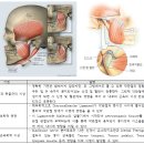 명음전기 | 단원구한의원 청력감소 어지럼증까지 이어지는, 이명의 원인, 증상 및 치료