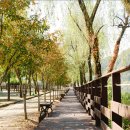 해피로드2 이미지