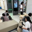 동물을사랑하는사람들 | [후기] 비와 더위를 뚫고, 함께하개냥🐶🐱의 첫 모임!