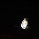 갓바위약초탕 이미지