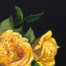 라파엘의료재단 이미지