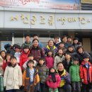 늘 푸른 나무 이미지