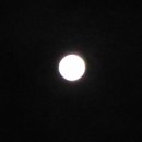 블루문(BlueMoon) 이미지