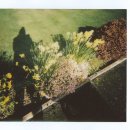 평촌치과의원 이미지