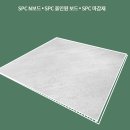 하이테디 이미지