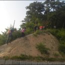욕지도 하늘정원 Daum카페