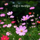 낙원에서 삼겹살에 맥주한잔 하고 이미지