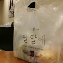 목동 달달애 식빵 후기