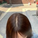 지엔에이치 이미지