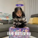 4살 여자아기가 좋아하는 슈팅스타 캐치 티니핑 셀레스티얼 캐슬 장난감 구매후기!