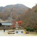 반야사불상 이미지