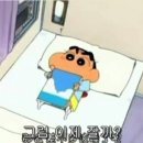 꽃냥