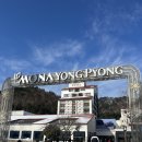 [평창/대관령] 모나 용평 리조트 스키장 스린이 주말 방문후기⛷️(셔틀버스, 오후야간권, 슬로프)